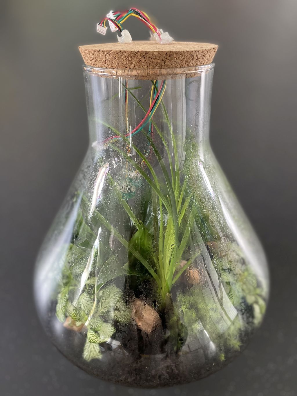 Z-LAB Bruchsal: Bauanleitung “Klimaglas“